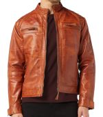 Men's Checky Brown Leather Moto Jacket